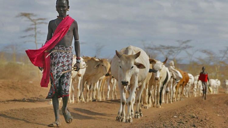 pastoralist.jpg